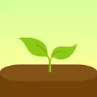 Biểu tượng Forest: Focus for Productivity